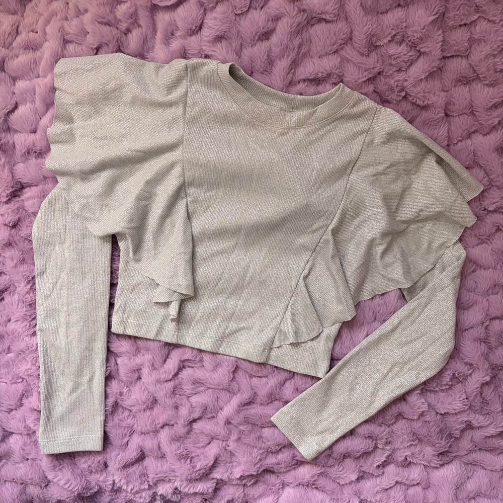 H&M Shimmery Silver Ruffle Long-Sleeve Crop Top